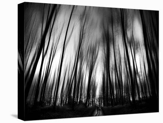 Diagona-Josh Adamski-Stretched Canvas