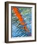 Diagonal Streaks-Adrian Campfield-Framed Photographic Print