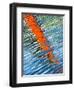 Diagonal Streaks-Adrian Campfield-Framed Photographic Print