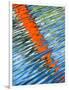 Diagonal Streaks-Adrian Campfield-Framed Photographic Print