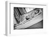 Diagonal-Fabrizio Micheli-Framed Photographic Print