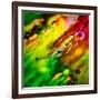 Diagonally-Ursula Abresch-Framed Photographic Print