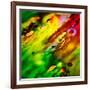 Diagonally-Ursula Abresch-Framed Photographic Print