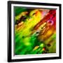 Diagonally-Ursula Abresch-Framed Photographic Print