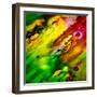 Diagonally-Ursula Abresch-Framed Photographic Print