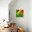 Diagonally-Ursula Abresch-Mounted Photographic Print displayed on a wall