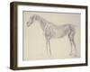 Diagram from 'The Anatomy of the Horse' (Engraving)-George Stubbs-Framed Giclee Print