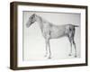 Diagram from The Anatomy of the Horse-George Stubbs-Framed Giclee Print