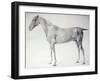 Diagram from The Anatomy of the Horse-George Stubbs-Framed Giclee Print