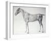 Diagram from The Anatomy of the Horse-George Stubbs-Framed Giclee Print