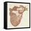 Diagram of a Human Heart-Dodd-Framed Stretched Canvas