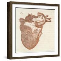 Diagram of a Human Heart-Dodd-Framed Art Print