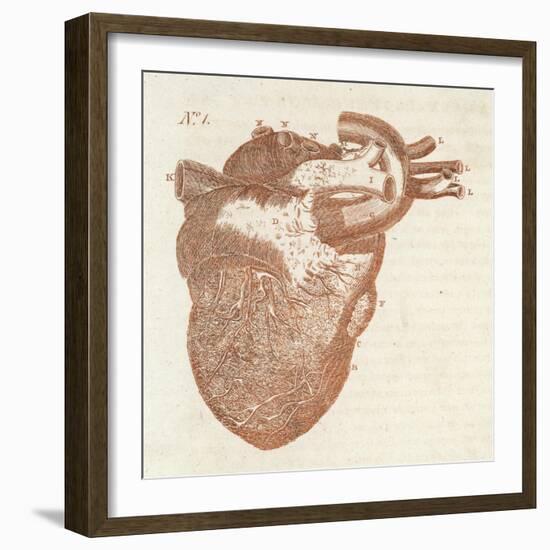 Diagram of a Human Heart-Dodd-Framed Art Print