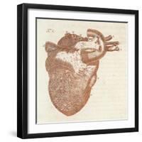 Diagram of a Human Heart-Dodd-Framed Art Print