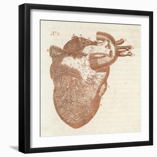 Diagram of a Human Heart-Dodd-Framed Art Print