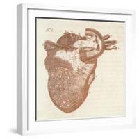 Diagram of a Human Heart-Dodd-Framed Art Print