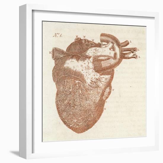 Diagram of a Human Heart-Dodd-Framed Art Print
