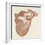 Diagram of a Human Heart-Dodd-Framed Art Print