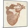 Diagram of a Human Heart-Dodd-Mounted Art Print