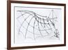 Diagram of a Mechanical Wing, 1488-89-Leonardo da Vinci-Framed Giclee Print