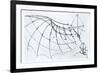 Diagram of a Mechanical Wing, 1488-89-Leonardo da Vinci-Framed Giclee Print