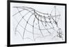 Diagram of a Mechanical Wing, 1488-89-Leonardo da Vinci-Framed Giclee Print