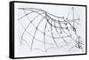 Diagram of a Mechanical Wing, 1488-89-Leonardo da Vinci-Framed Stretched Canvas