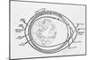 Diagram of American and Russian Satellite Orbits-null-Mounted Giclee Print