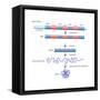 Diagram of Basic Structure of a Gene. Heredity, Genetics-Encyclopaedia Britannica-Framed Stretched Canvas