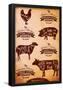 Diagram Of Cut Carcasses Chicken, Pig, Cow, Lamb-null-Framed Poster