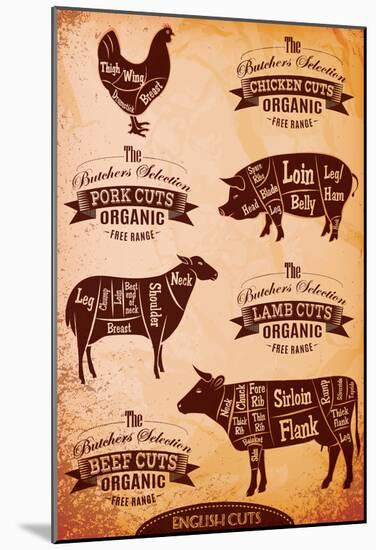 Diagram Of Cut Carcasses Chicken, Pig, Cow, Lamb-null-Mounted Poster