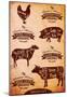 Diagram Of Cut Carcasses Chicken, Pig, Cow, Lamb-null-Mounted Poster