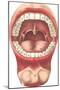 Diagram of Mouth and Teeth-null-Mounted Art Print