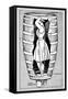 Diagram of Mrs Anne Edson Taylor in the Barrel in Which She Plunged over the Niagara Falls, 1901-null-Framed Stretched Canvas