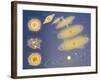 Diagram of Solar System Formation-null-Framed Giclee Print