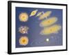 Diagram of Solar System Formation-null-Framed Giclee Print