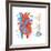 Diagram of the Human Heart - Valve Examples-Encyclopaedia Britannica-Framed Art Print