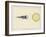 Diagram Showing an Eclipse of the Moon-Charles F. Bunt-Framed Art Print