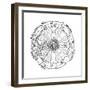 Diagram Showing Geocentric System of Universe, 1539-Petrus Apianus-Framed Giclee Print