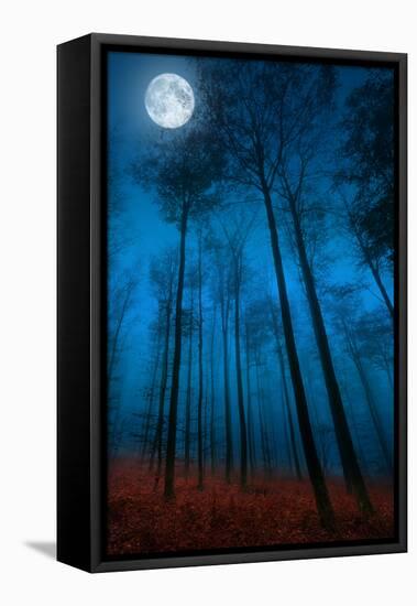 Dialogue with the moon-Philippe Sainte-Laudy-Framed Stretched Canvas