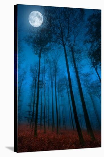 Dialogue with the moon-Philippe Sainte-Laudy-Stretched Canvas