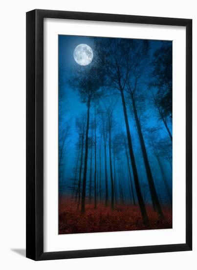 Dialogue with the moon-Philippe Sainte-Laudy-Framed Premium Photographic Print