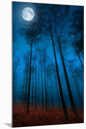 Dialogue with the moon-Philippe Sainte-Laudy-Mounted Premium Photographic Print