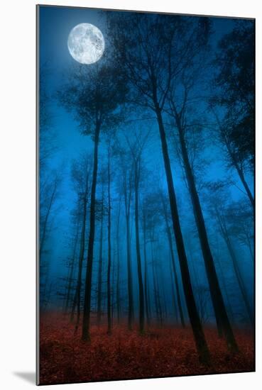 Dialogue with the moon-Philippe Sainte-Laudy-Mounted Photographic Print