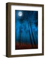 Dialogue with the moon-Philippe Sainte-Laudy-Framed Premium Photographic Print