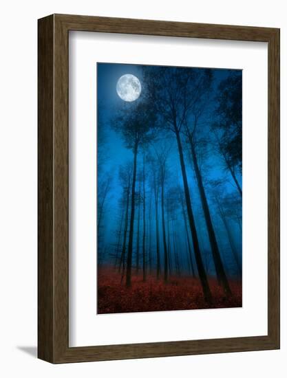 Dialogue with the moon-Philippe Sainte-Laudy-Framed Premium Photographic Print