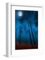 Dialogue with the moon-Philippe Sainte-Laudy-Framed Premium Photographic Print