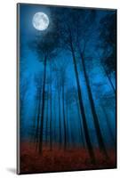 Dialogue with the moon-Philippe Sainte-Laudy-Mounted Premium Photographic Print