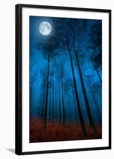 Dialogue with the moon-Philippe Sainte-Laudy-Framed Photographic Print