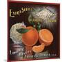 Diamond Brand - Denver, Colorado - Citrus Crate Label-Lantern Press-Mounted Art Print